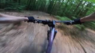 POV: Halber Herrmann auf Marienhöhe / Naabdelta