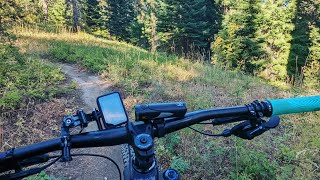 RIDE: Roslyn Urban Forest