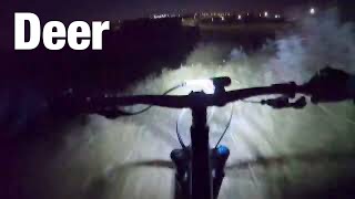 Lethbridge MTB- Deer [Night]