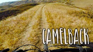 CAMELBACK, 2022, (RAW RIDE) Lethbridge Alberta...