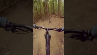 Take a Free Ride  #shorts