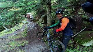 Enduro pel Canigó baixant per corriol 2.000...