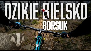 Borsuk, czyli creme de la creme enduro |...