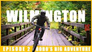 Sketchy Rock Drops & Scarier Bars - Bobo's...