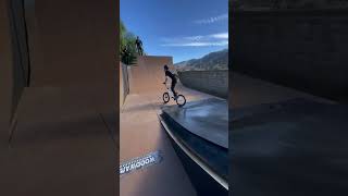 360 QUAD TAILWHIP BMX