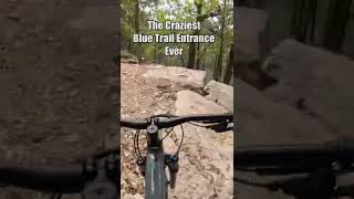  Craziness Start To A Blue Trail Ever...