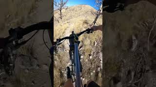 A Little More Suspension Would’ve Been Nice