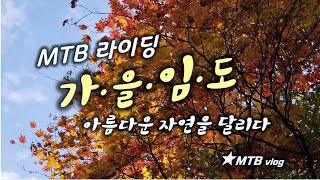 아름다운 가을 자연을 달리다 /...
