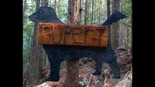 A full blue chicken run on Rupert (Tazer's...