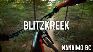 Blitzkreek - Mount Benson - Vancouver Island MTB