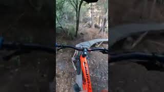 Amazing MTB Trail! #shorts