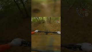 MTB Wienerwald Home Trails are...