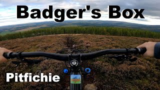 Badger's Box - Pitfichie 2022