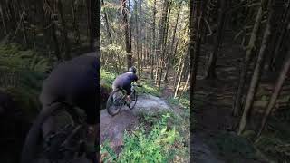 Nearly rode off a cliff 