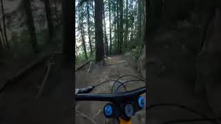 Going Fast In The Whistler Mountain Bike Park...