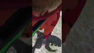 Livigno MTB Crash