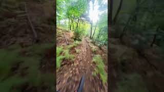 ¿ Sabéis que bajada es esta ? #downhill...