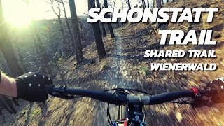 Schönstatt Trail - Shared Trail WWT (YT Jeffsy)
