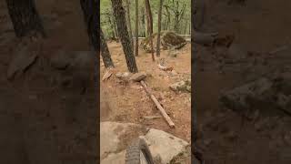 Wild rodeo - La Adrada - Campeonato de España...