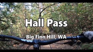 Hall Pass | Mountain Bike Big Finn Hill, WA