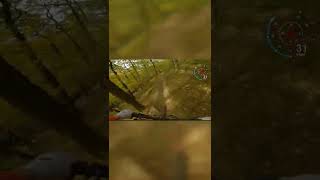 MTB Wienerwald Home Trails are...