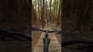 They call this a log ride ‍♂️ #shorts