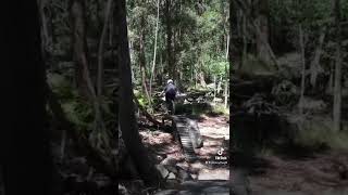This is it #shorts #mtblife #mountainbike