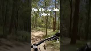 This is probably your local #shorts #mtblife...