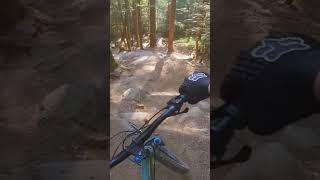Hardtail VS Double Black Trail