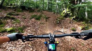BERUETE MTB Subida a Seanbe