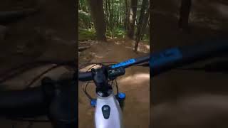 Crashing my E-Bike 