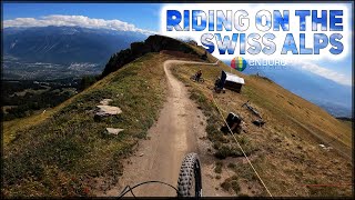 Is this the perfect trail?⎮EWS Stage...