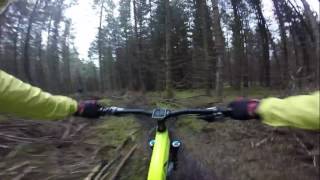 Quick Spin down LEtS GETS