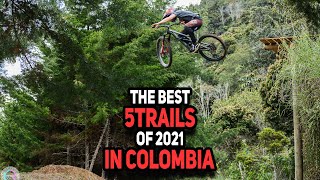 TOP DH/Enduro Mountain Bike trails in...