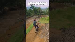 #shorts FPV Drone chasing MTB at bikepark 