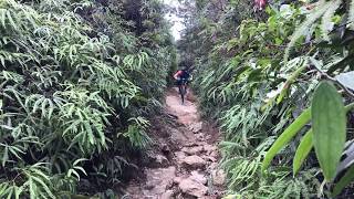 Trek Remedy 8 rockgarden attack