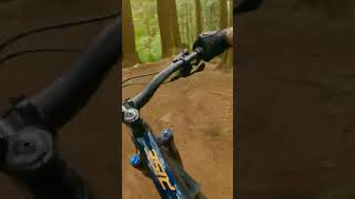 oh, that is fun  #mtb #mountainbiking #shorts