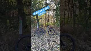 This bike is beautiful