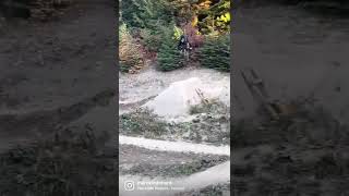 Fall time ALL Time?  WHISTLER Dirt Jumps 