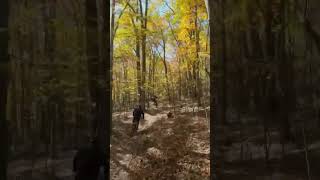 Insane fall ride!