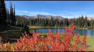 The Best of Revelstoke Mountain Biking -...