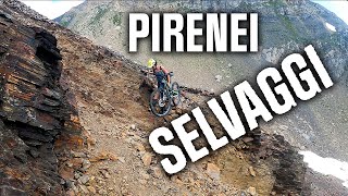Pirenei Selvaggi