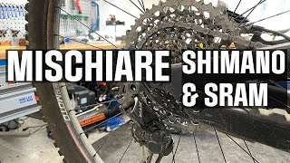Si possono mischiare le trasmissioni Shimano e...