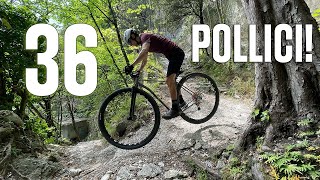 Con una 36 pollici giù dal Trota