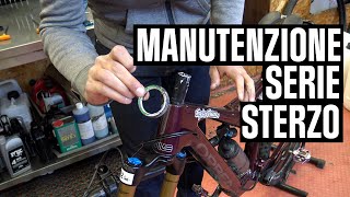 La manutenzione della serie sterzo