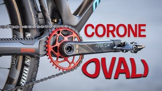 Le corone ovali