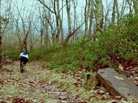 Wild Oak Trail Mountain Biking Trail Harrisonburg