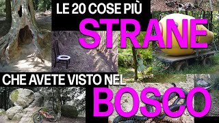 Le 20 cose più strane che avete visto nel bosco