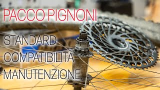 Pacco pignoni: standard, compatibilità e...