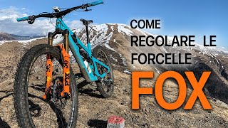 La regolazione delle forcelle Fox